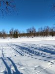 IMG_20240317_121345.jpg