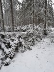 20241207_115135.jpg