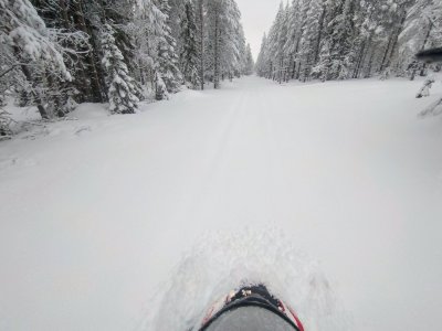 20250126_115913.JPG