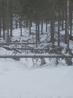 20250215_142518.jpg