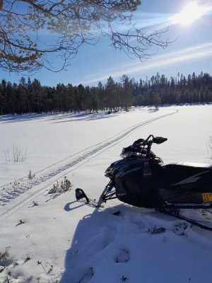 20250307_121942.jpg