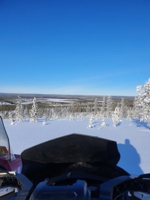 20250307_112812.jpg