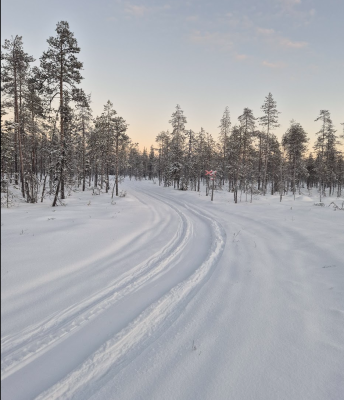 Näyttökuva 2025-12-03 150236.png