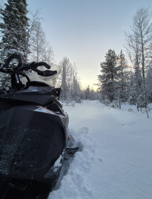 Näyttökuva 2025-12-03 150422.png