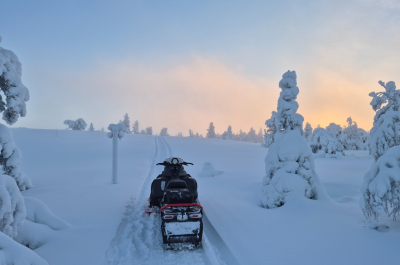 Näyttökuva 2026-01-19 090246.png