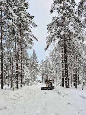 20260207_150726 (1).jpg