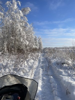 IMG_5452.jpeg