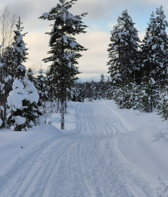 Näyttökuva 2026-03-02 084202.png