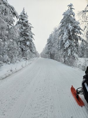20260302_084443.jpg